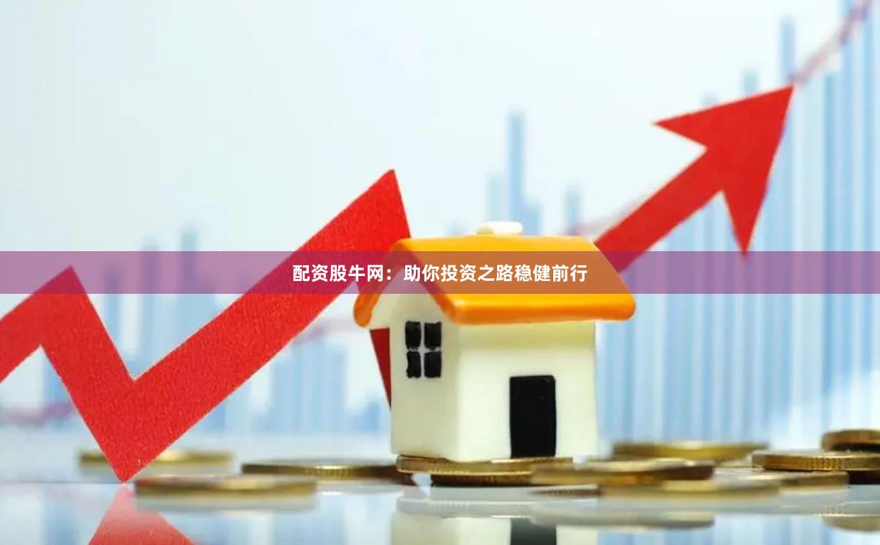 配资股牛网：助你投资之路稳健前行
