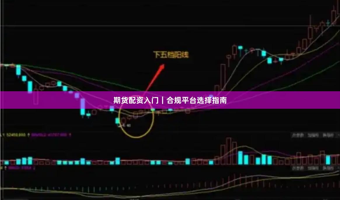 期货配资入门｜合规平台选择指南